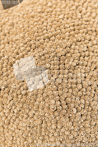 Image of dry flowers texture