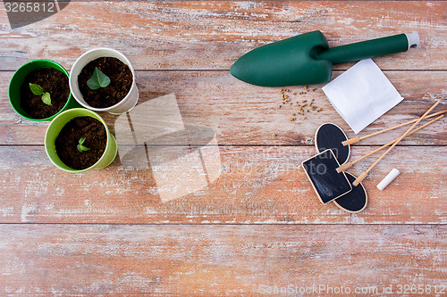 Image of close up of seedlings, trowel and nameplates