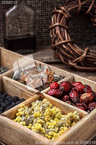 Image of collected and dried herbs doctor