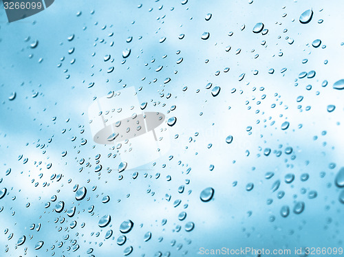 Image of Rain droplets