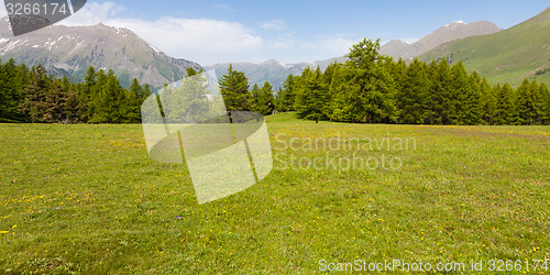 Image of Italian Alps