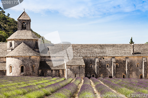 Image of Lavander field