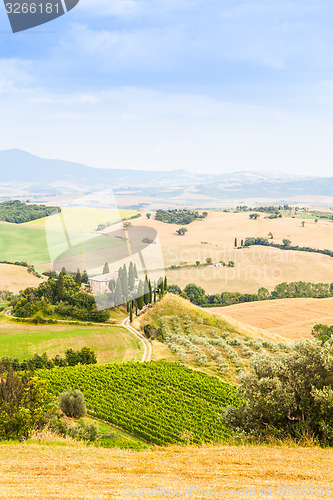 Image of Countryside in Tuscany