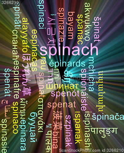 Image of Spinach multilanguage wordcloud background concept glowing