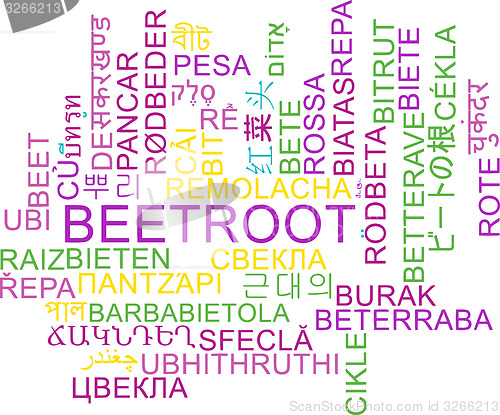 Image of Beetroot multilanguage wordcloud background concept