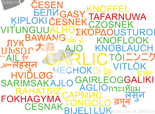 Image of Garlic multilanguage wordcloud background concept