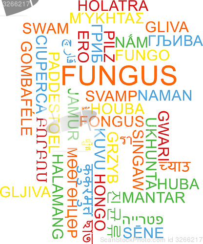 Image of Fungus multilanguage wordcloud background concept