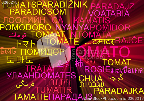 Image of Tomato multilanguage wordcloud background concept glowing