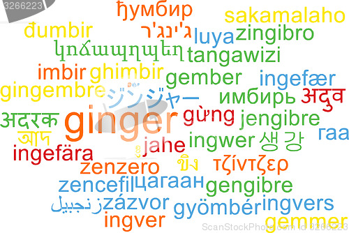 Image of Ginger multilanguage wordcloud background concept