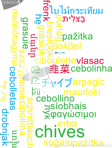 Image of Chives multilanguage wordcloud background concept