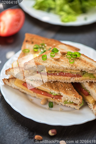 Image of Cheese sandwich