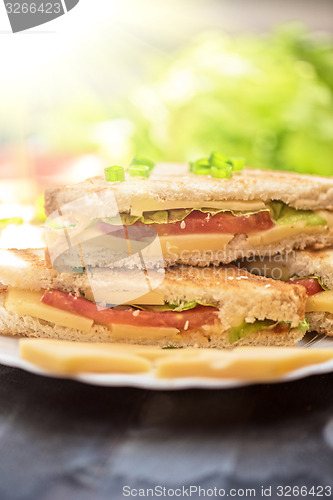 Image of Cheese sandwich