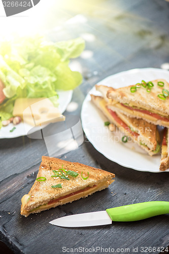 Image of Cheese sandwich