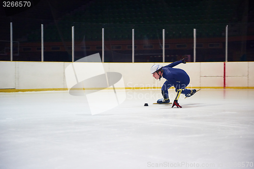 Image of speed skating