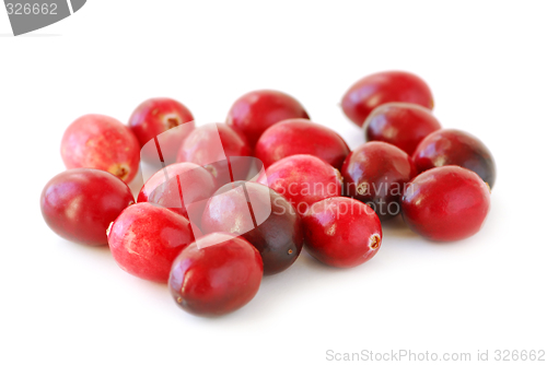 Image of Cranberries macro