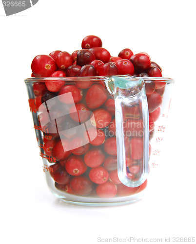 Image of Cranberries in a cup