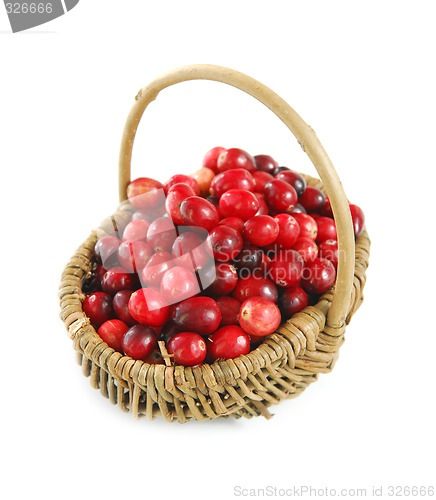 Image of Cranberries in a basket