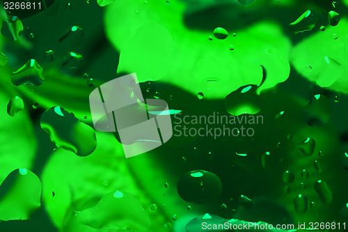 Image of green abstract background with water drops