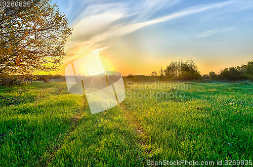 Image of Landscape with the sunrise over the meadow 