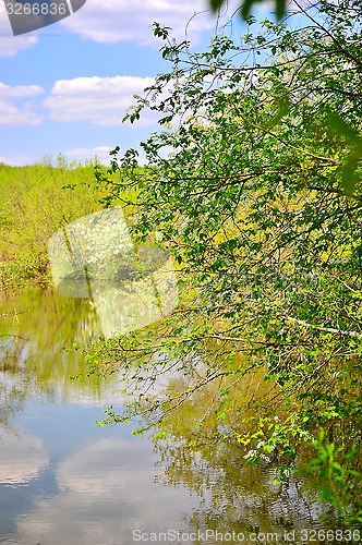 Image of Spring landscape with the river