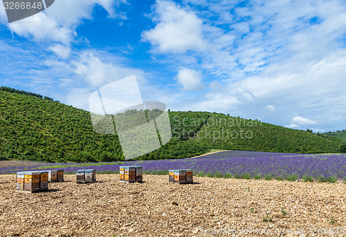 Image of Beehive close to lavander field