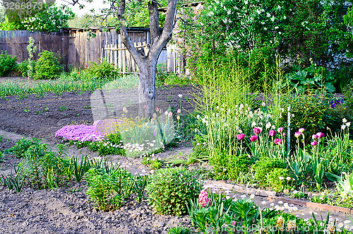 Image of Cottage garden