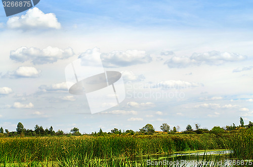 Image of Summer landscape with a river