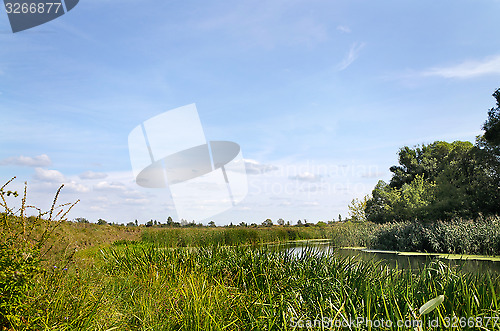 Image of Summer landscape with a river