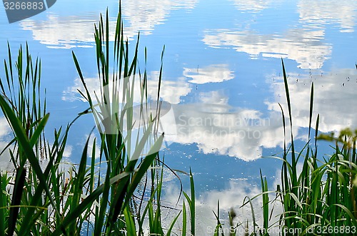 Image of Summer landscape with a river