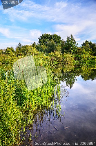 Image of Summer landscape with a river