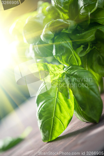 Image of Fresh organic basil