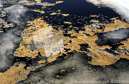 Image of Industrial waste in the Baltic Sea.