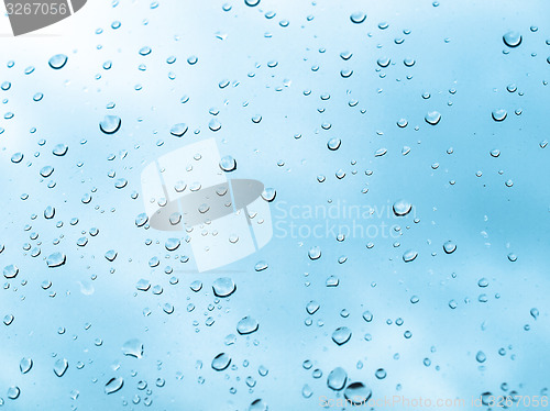 Image of Rain droplets