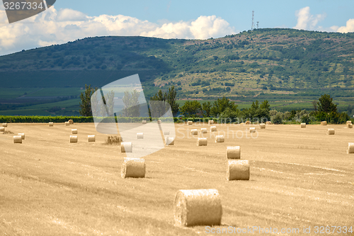 Image of Hay bails on the field