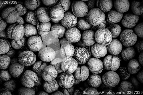 Image of Nuts background texture