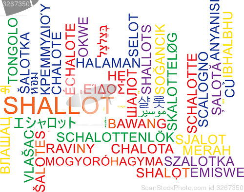 Image of Shallot multilanguage wordcloud background concept