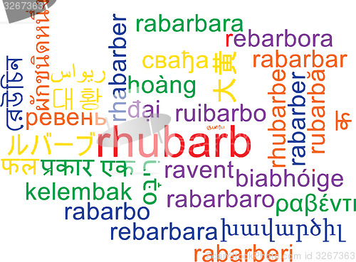 Image of Rhubarb multilanguage wordcloud background concept