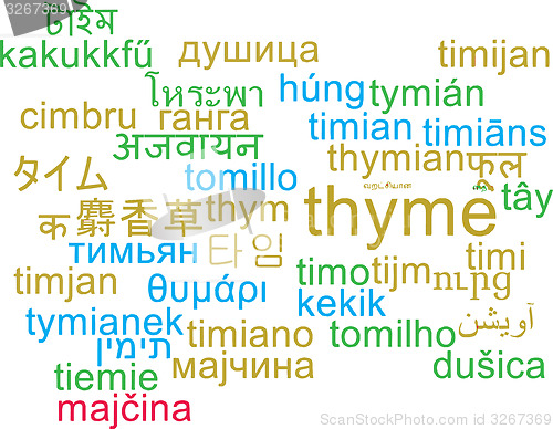 Image of Thyme multilanguage wordcloud background concept