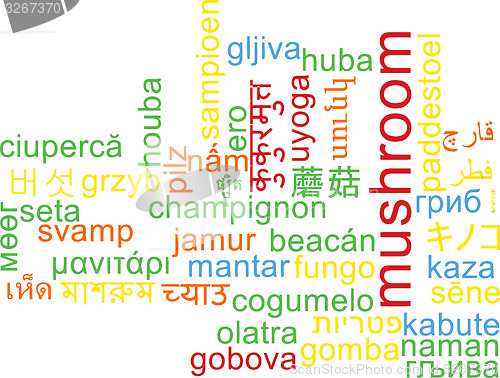 Image of Mushroom multilanguage wordcloud background concept