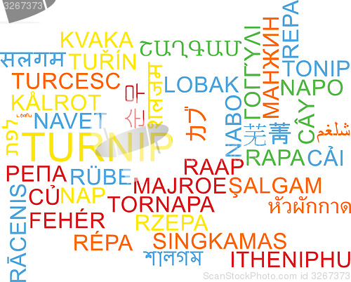 Image of Turnip multilanguage wordcloud background concept