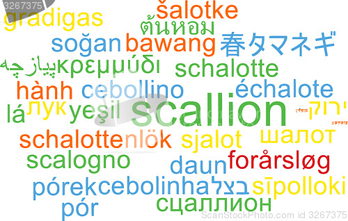 Image of Scallion multilanguage wordcloud background concept