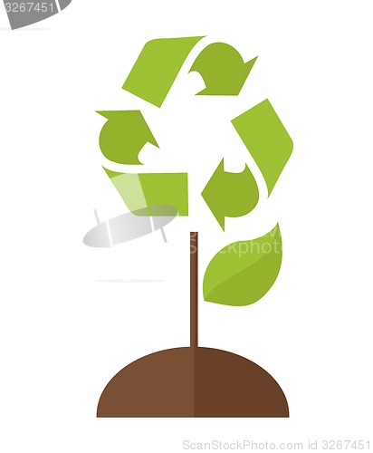 Image of Tree with recycle symbol