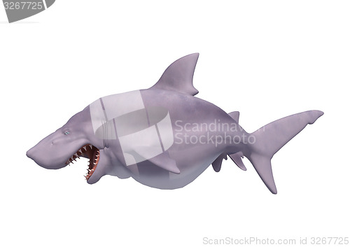 Image of White Shark