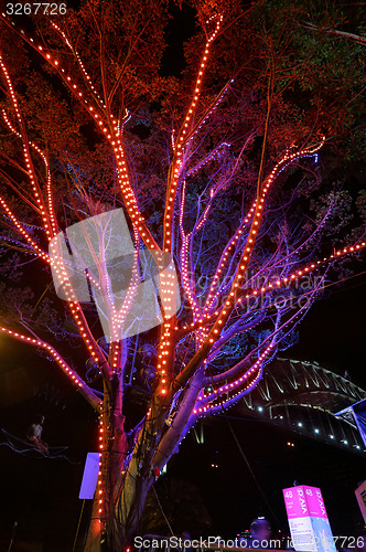 Image of Tree of Light at Vivid Sydney 