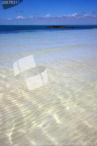 Image of rock in isla contoy