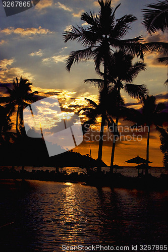 Image of sun in the pool