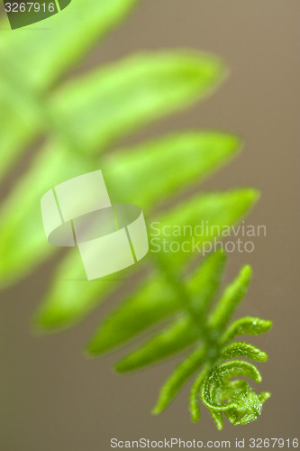 Image of to the end of the green