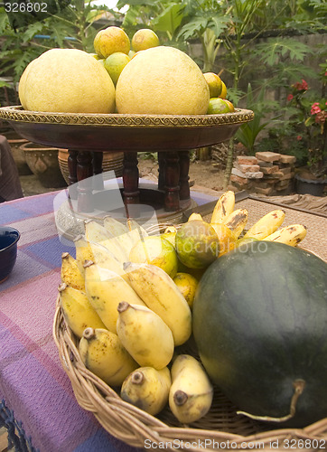 Image of Tropical fruit in a garden