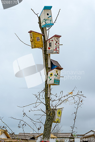 Image of Starling-houses