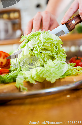 Image of Woman\'s hands cutting vegetables